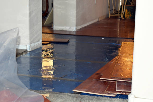 Professional Emergency Water Damage Restoration technician working in Haymarket, VA